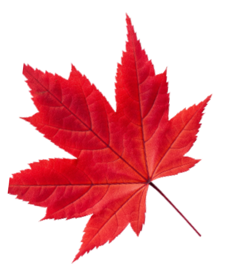 leaf5