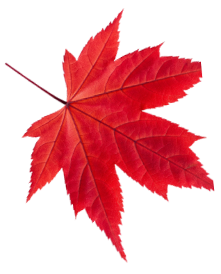 leaf1